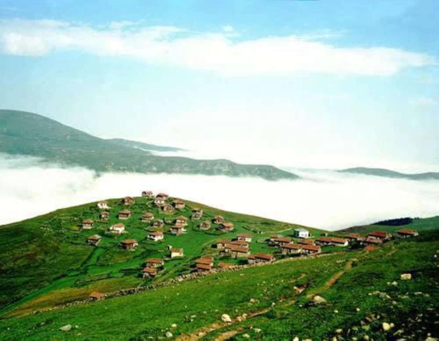 Karadağ Yaylası Trabzon fotoğrafı 2