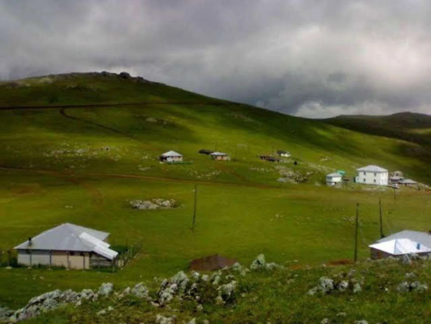 Karadağ Yaylası Trabzon fotoğrafı 4