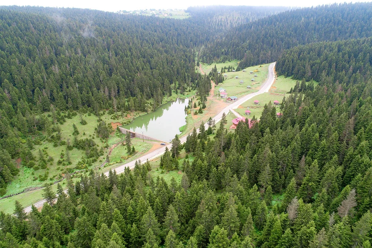Kayabaşı Yaylası Trabzon fotoğrafı 2