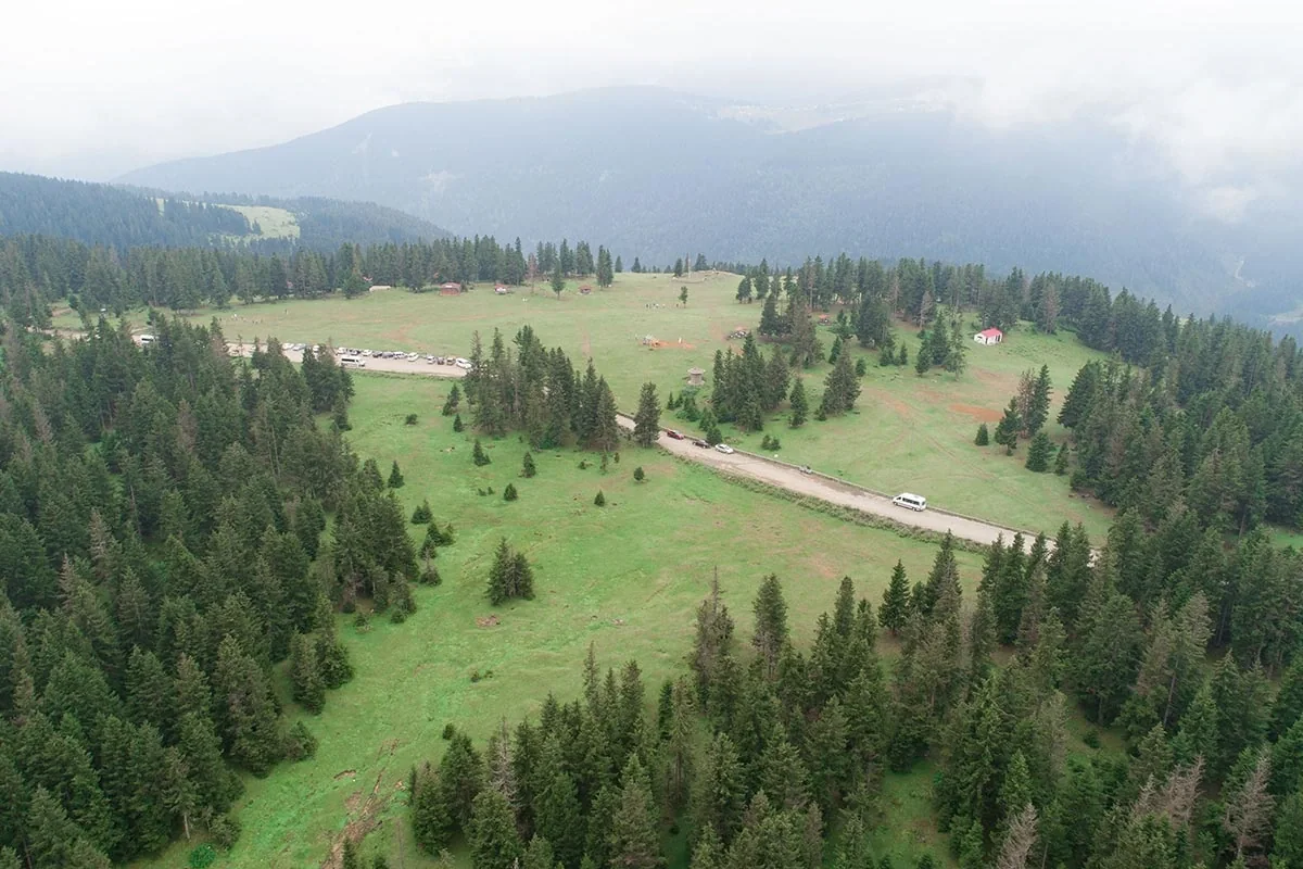 Kayabaşı Yaylası Trabzon fotoğrafı 3