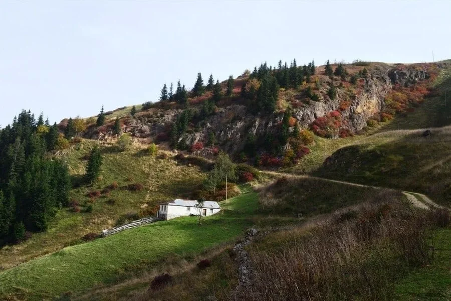 Kiraz Yaylası Trabzon fotoğrafı 2