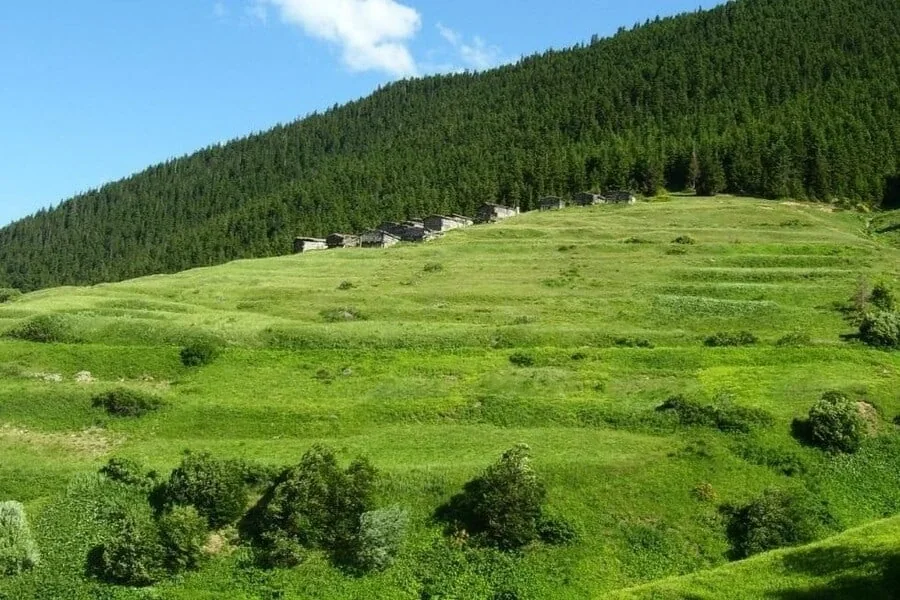 Lapazan Yaylası Trabzon fotoğrafı 2