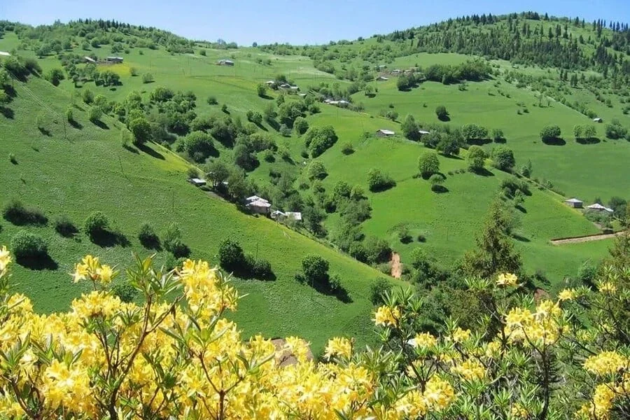 Lapazan Yaylası Trabzon fotoğrafı 3