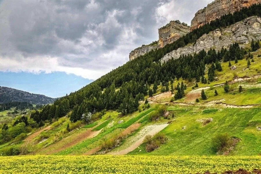 Mavura Yaylası Trabzon fotoğrafı 2