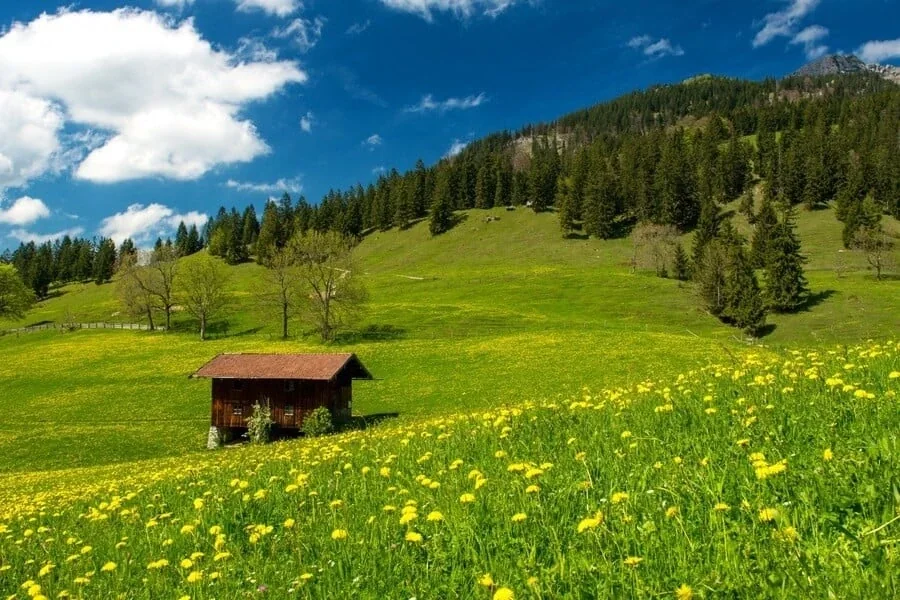 Mavura Yaylası Trabzon fotoğrafı 3