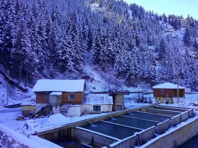 Pazarcık Yaylası Trabzon yayla manzarası