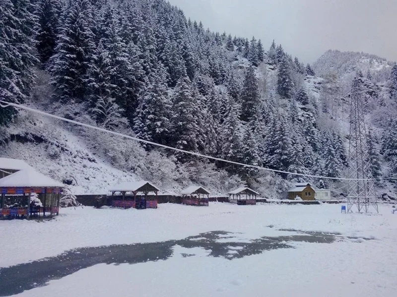 Pazarcık Yaylası Trabzon fotoğrafı 2