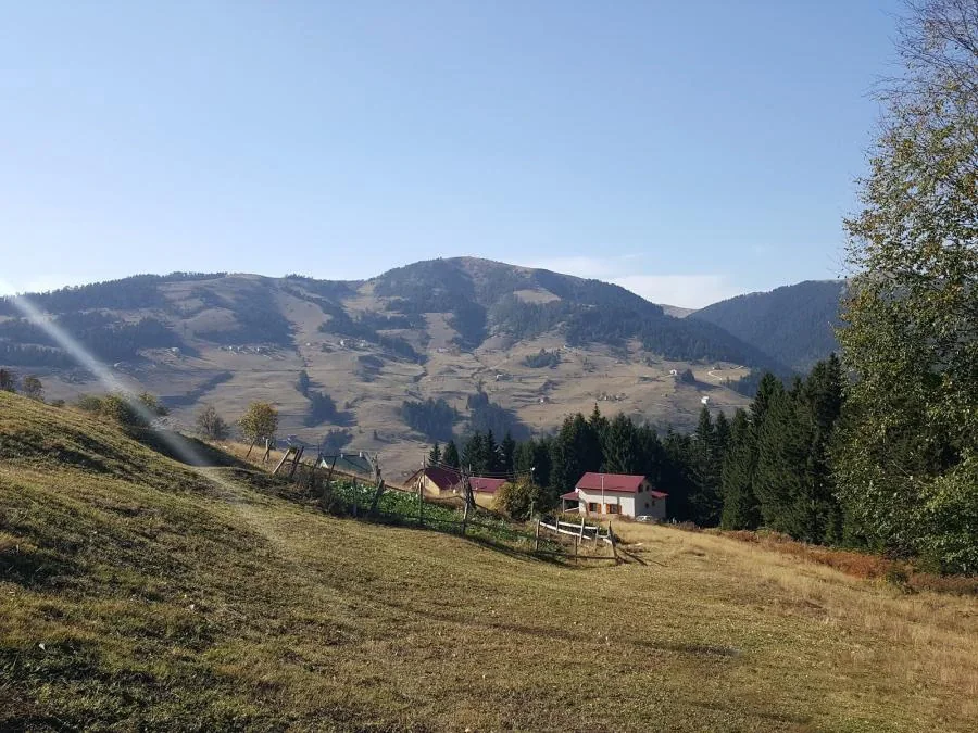 Sazalan Yaylası Trabzon yayla manzarası