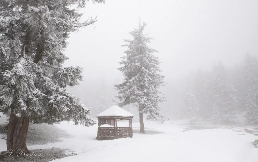 Sazalan Yaylası Trabzon fotoğrafı 3