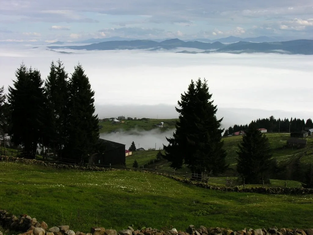 Sis Dağı Yaylası Trabzon fotoğrafı 3