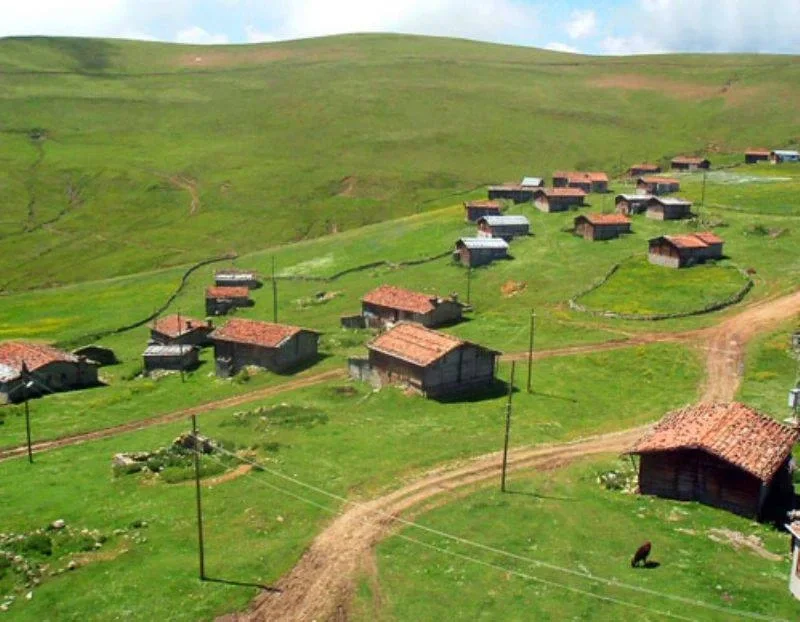 Yeşilyurt–Yılantaş Yaylası Trabzon fotoğrafı 2